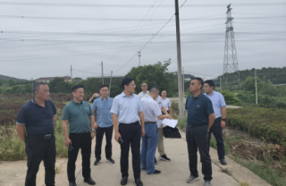 东营镇江市丹徒区政府副区长胡光亮、上党镇五塘村村民委员会书记陈永飞、江苏华电句容分公司项目办陈志荣主任、江苏LEWIN乐玩新能源集团公司总经理郑海青一行考察万亩茶园光伏项目