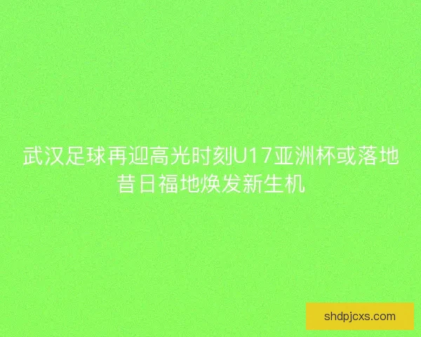 武汉足球再迎高光时刻U17亚洲杯或落地昔日福地焕发新生机